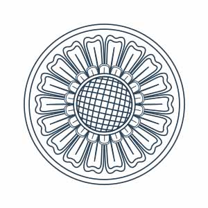 Cúc đầu ống ngói - HVĐV---LYTRAN---060_ver_01