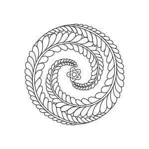 Hoa dây xoắn ốc - HVĐV---LYTRAN---063_ver_01