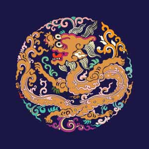 Hoa văn Mãng Ổ - HVĐV---NGN---AO---013_ver_03