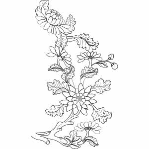 Họa tiết hoa cúc - HVĐV---NGN---DO---007_ver_01