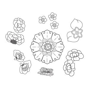 Các loại hoa trên khay pháp lam